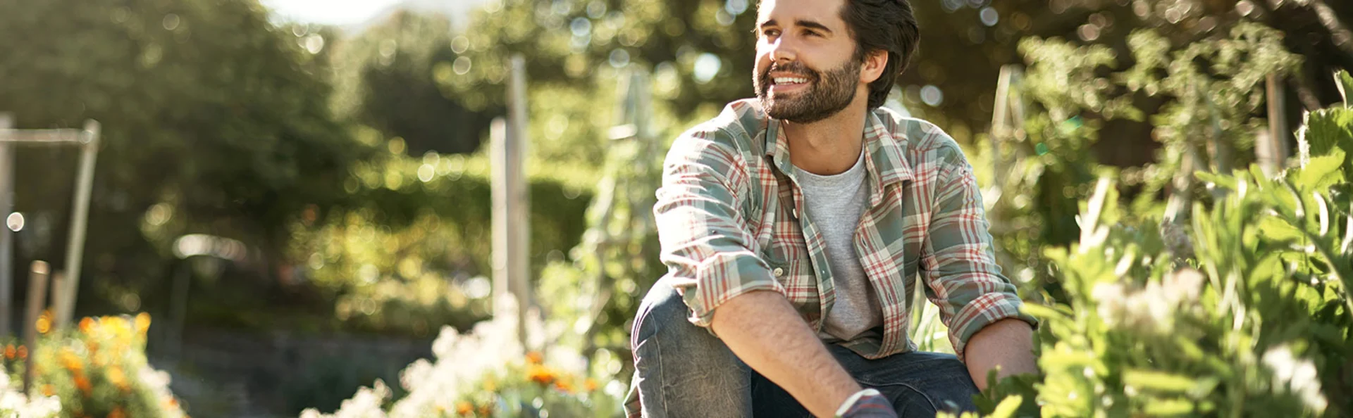 Banner image for content hub page: 8 Gardening Ideas to Improve Your Outside Space