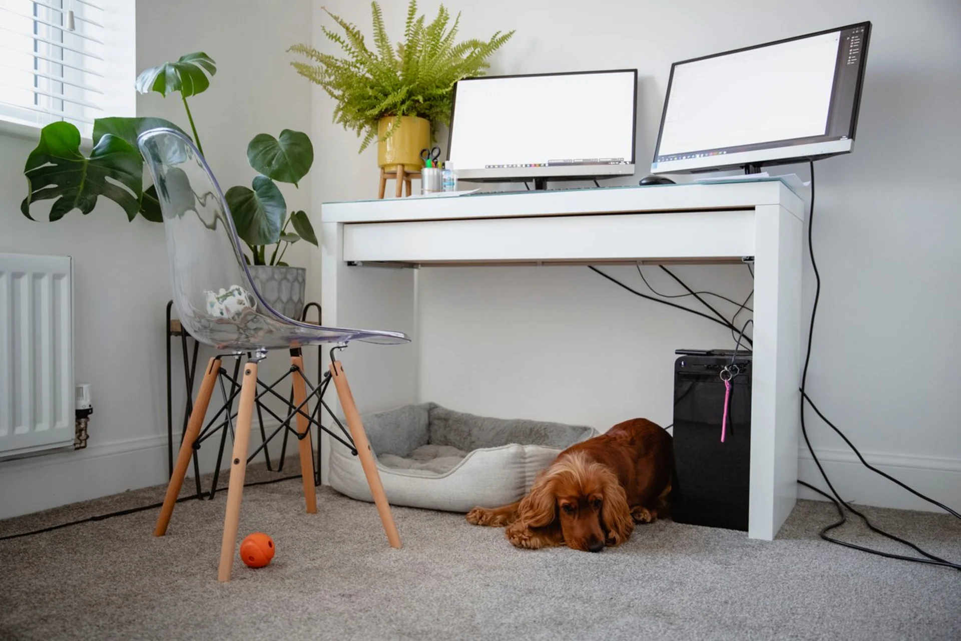 image for content hub page: [object Object]