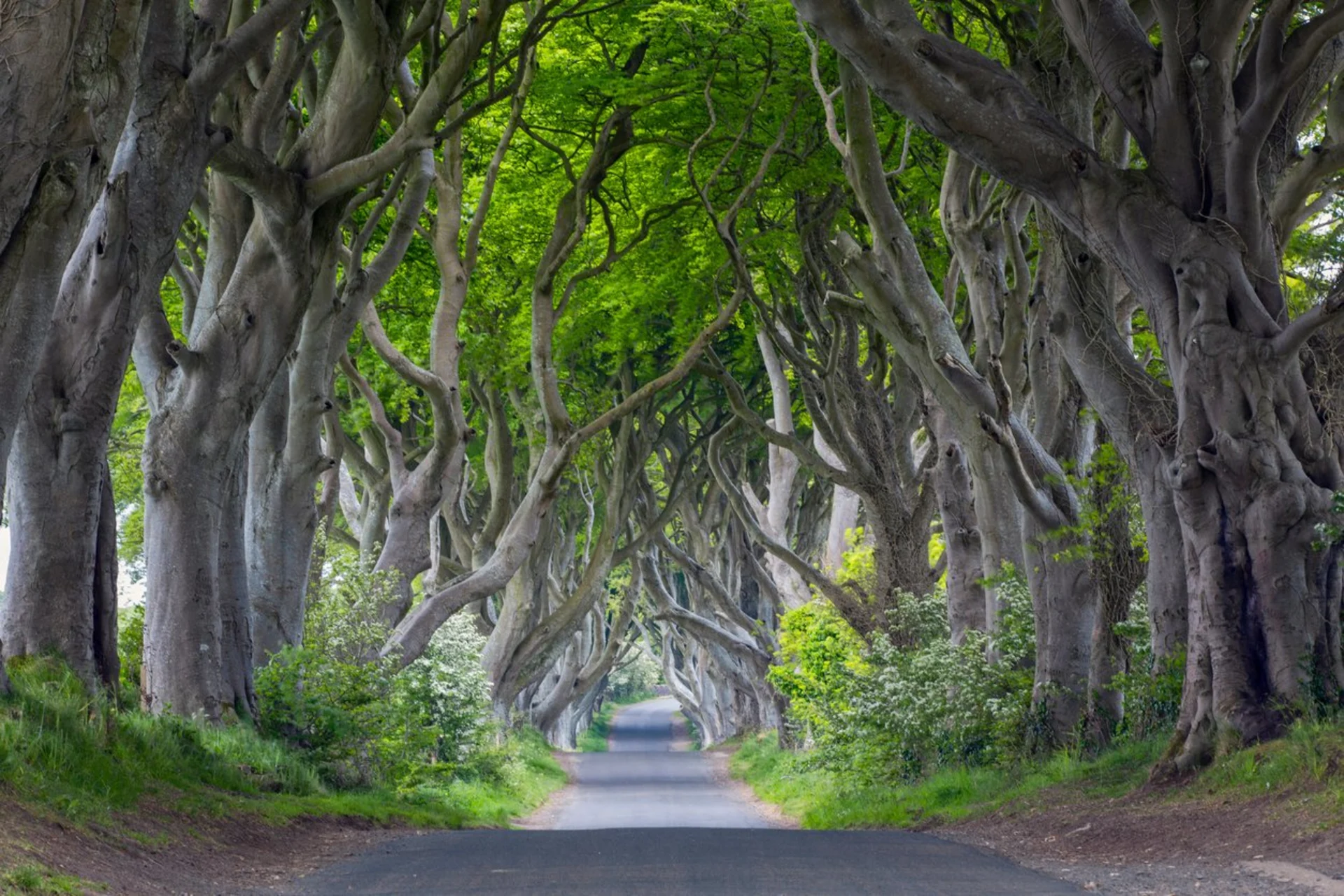 image for content hub page: [object Object]