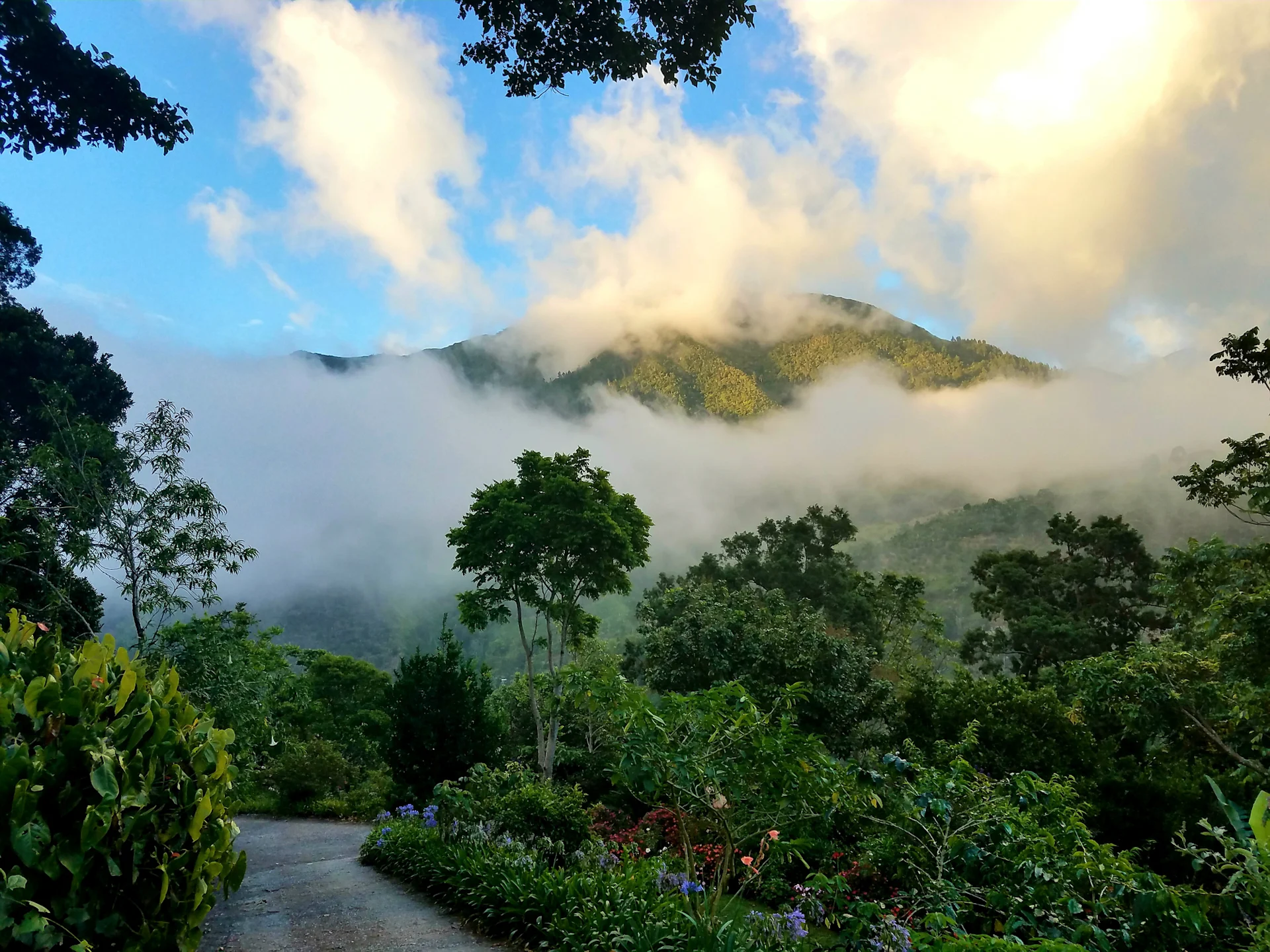 Image of clouds within the Jamaica Blue Mountains