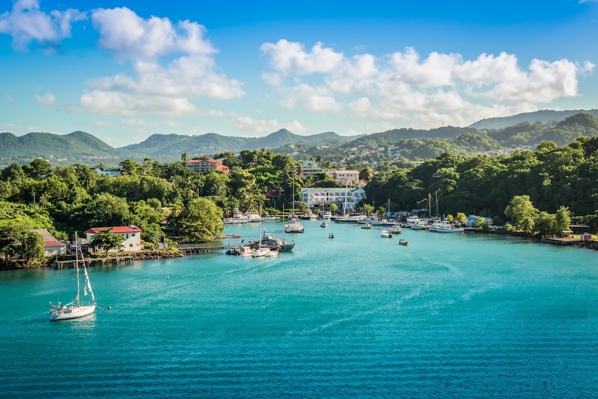 St. Lucia blue shores and bright forest landscape, interspersed with buildings.