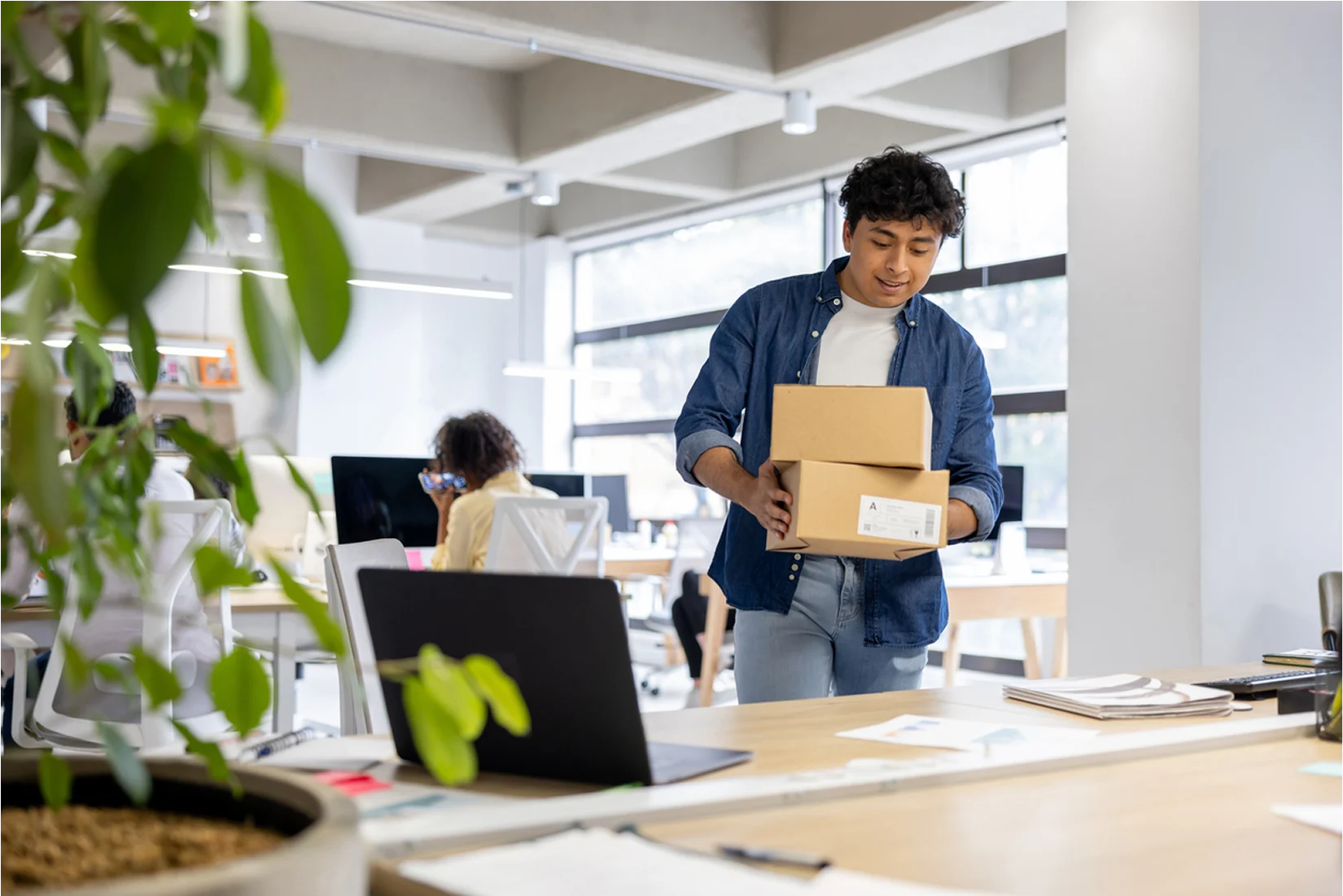 person carrying parcel while using laptop