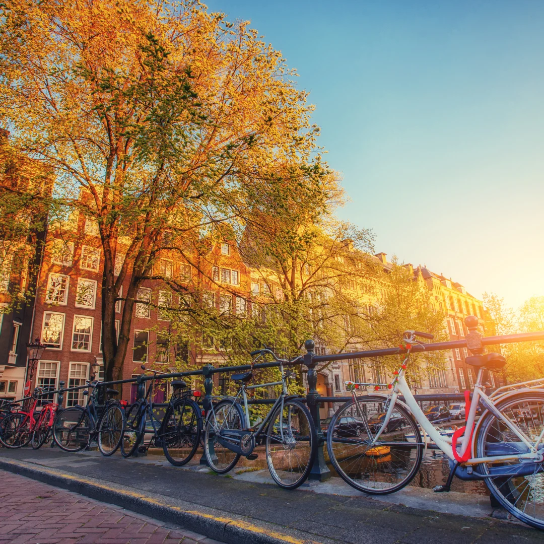 Bridge in the Netherlands