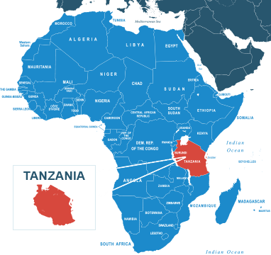 Parcel delivery to Tanzania